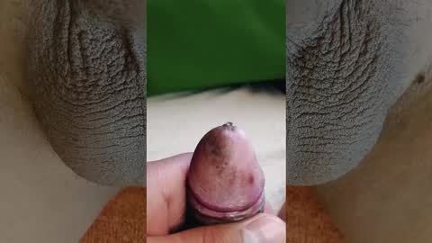 Penils online show from March 2026 07:09:01 PM