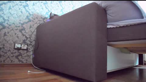 Snapshot of perfectdate chatting on December 2024 09:01:02 AM Anna online show from December 2024 09:01:02 AM