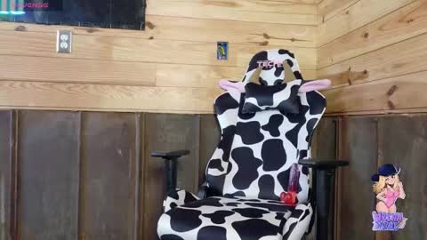 Snapshot of perfectly_imperfect_adventure chatting on January 2025 05:48:01 PM Wrenn Divine online show from January 2025 05:48:01 PM