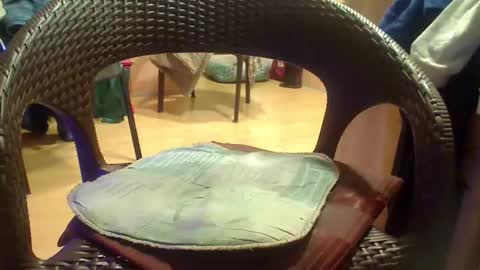 peta000007 online show from December 2025 09:12:02 PM