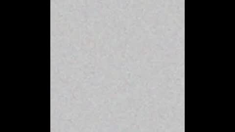 Maximus online show from February 2025 06:10:02 PM