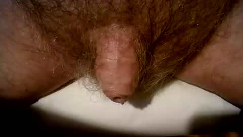 Snapshot of peterpeteropoulos chatting on March 2025 09:08:02 PM peterpeteropoulos online show from March 2025 09:08:02 PM