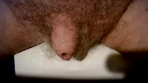 Snapshot of peterpeteropoulos chatting on October 2025 06:41:02 PM peterpeteropoulos online show from October 2025 06:41:02 PM