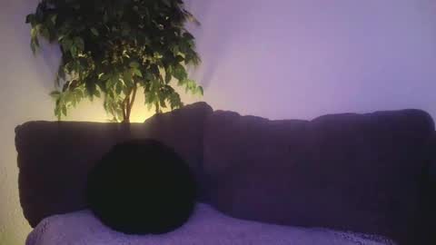 Snapshot of petite_treat_ chatting on December 2024 10:56:02 AM petite treat online show from December 2024 10:56:02 AM