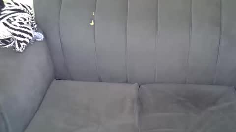 Kitty online show from June 2026 01:49:01 AM