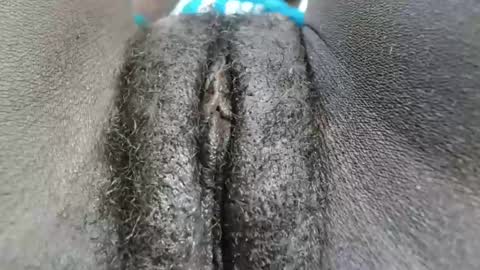 Snapshot of petiteme1 chatting on January 2025 02:03:01 AM petiteme1 online show from January 2025 02:03:01 AM