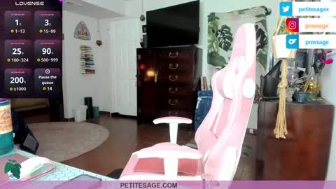 Snapshot of petitesage chatting on December 2024 11:53:01 PM petitesage online show from December 2024 11:53:01 PM
