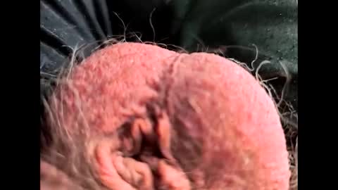 Snapshot of petrol63102 chatting on February 2026 01:10:01 PM petrol63102 online show from February 2026 01:10:01 PM