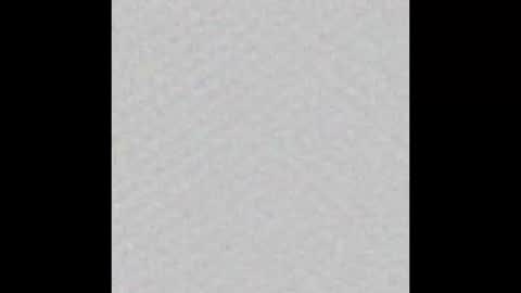 Snapshot of peytonn_monroe chatting on October 2025 12:06:01 PM peytonn_monroe online show from October 2025 12:06:01 PM