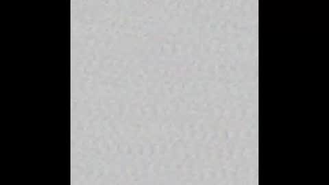 Snapshot of peytonn_monroe chatting on November 2025 12:27:01 PM peytonn_monroe online show from November 2025 12:27:01 PM