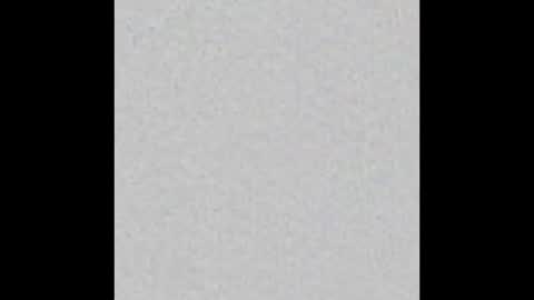 Snapshot of peytonn_monroe chatting on November 2025 03:01:02 AM peytonn_monroe online show from November 2025 03:01:02 AM