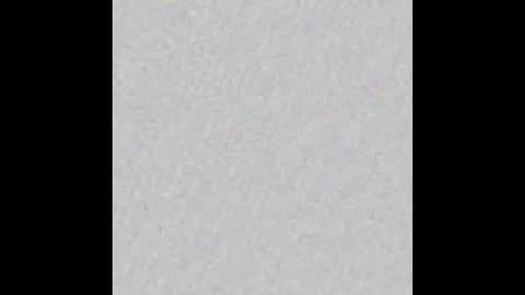 Snapshot of peytonn_monroe chatting on November 2025 12:20:01 PM peytonn_monroe online show from November 2025 12:20:01 PM