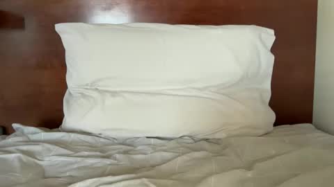 phil1010109 online show from December 2025 12:54:01 PM