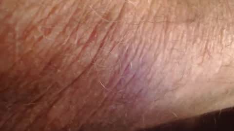 phil6369000 online show from December 2025 04:47:02 PM