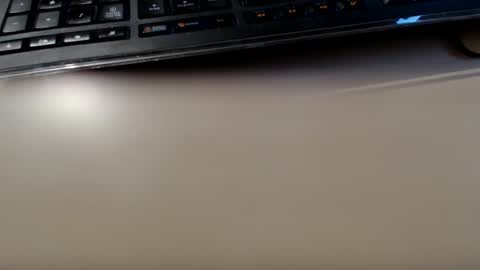 pier49x online show from January 2025 03:57:01 PM