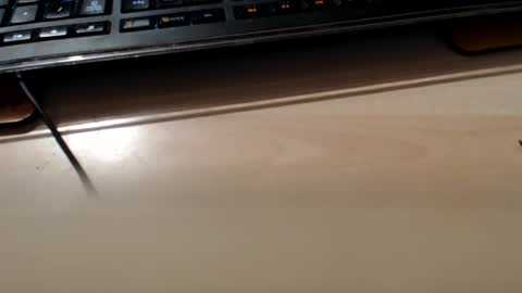 pier49x online show from February 2025 03:35:02 AM