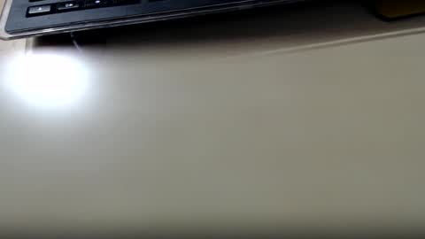 pier49x online show from October 2025 03:27:02 AM