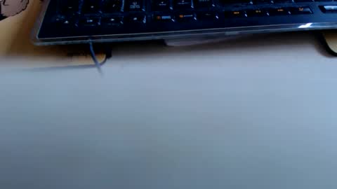 pier49x online show from April 2026 03:05:02 PM