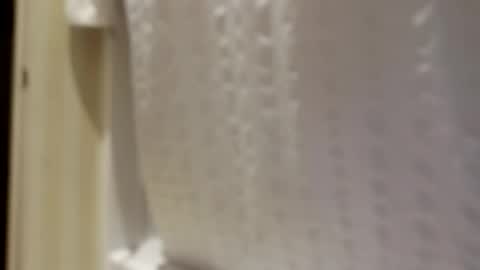 Snapshot of pigbear4trans chatting on September 2025 06:51:02 AM pigbear4trans online show from September 2025 06:51:02 AM