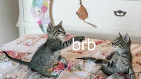 Snapshot of pink_girl0n chatting on November 2025 07:08:02 PM Kitty online show from November 2025 07:08:02 PM