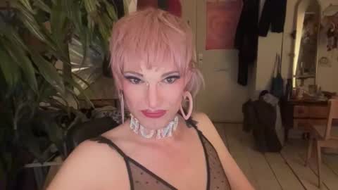 pinkfag online show from April 2026 07:19:01 PM
