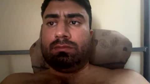 pipi144 online show from January 2025 11:51:02 AM