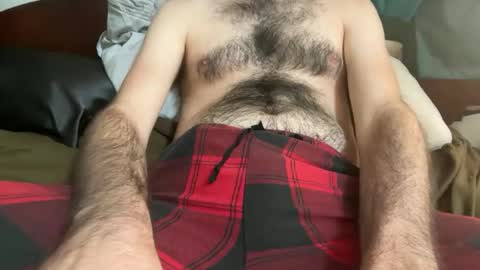 pistilstamen online show from December 2025 06:49:01 PM