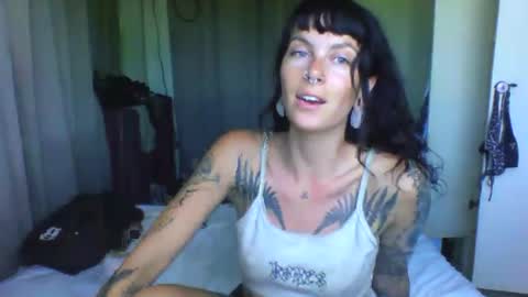 Snapshot of pixiecatfairy chatting on March 2026 06:40:01 AM pixiecatfairy online show from March 2026 06:40:01 AM