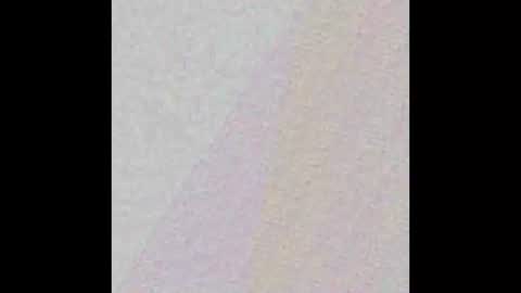 Lynn online show from March 2025 02:10:02 PM