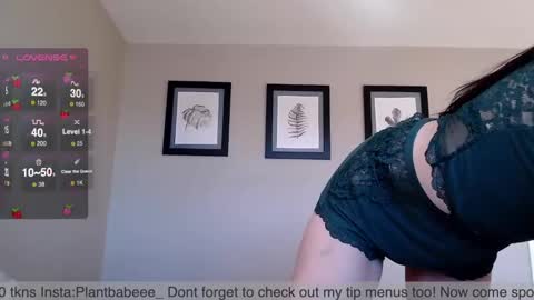 Plantbabeee online show from December 2024 07:16:01 PM