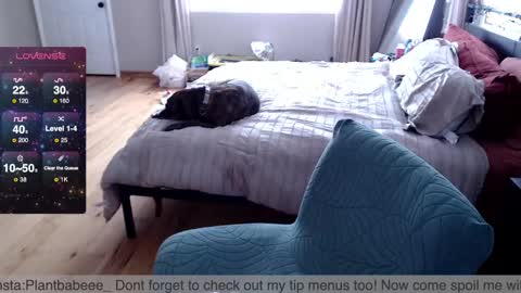 Plantbabeee online show from February 2025 06:00:02 PM