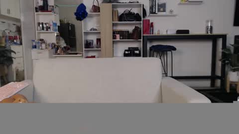 Snapshot of plasticgirll chatting on January 2025 05:51:01 PM plasticgirll online show from January 2025 05:51:01 PM