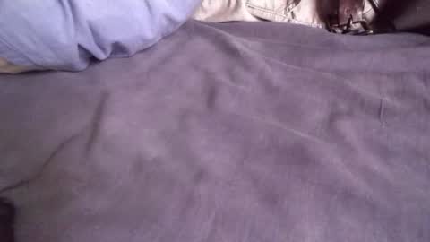 Snapshot of platoniclov chatting on November 2025 05:50:01 AM platoniclov online show from November 2025 05:50:01 AM