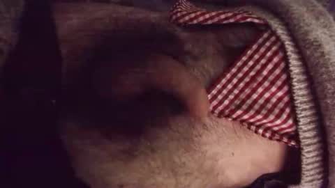 platoniclov online show from March 2026 03:21:02 AM