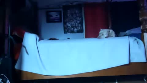 SEX ADDICTION WANNA MEET online show from January 2025 06:10:01 AM