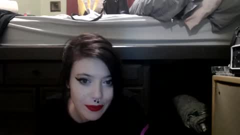 pleasantdinosaurus7537 online show from November 2025 03:01:02 AM