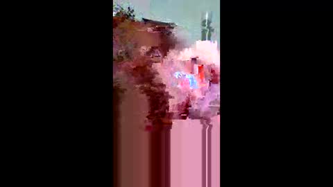 plumber336652 online show from May 2026 12:30:01 AM