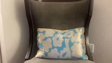 pluz69 online show from January 2026 11:34:01 AM