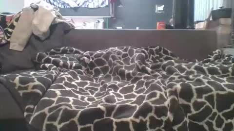 pokerfffface79 online show from March 2026 06:41:03 AM