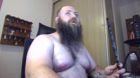 Bear online show from January 2025 05:08:01 AM