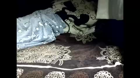 Snapshot of pollachico chatting on February 2026 08:32:01 AM pollachico online show from February 2026 08:32:01 AM