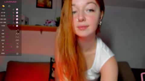 Polly online show from October 2025 04:05:02 PM