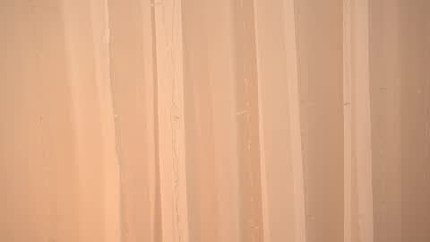    online show from January 2026 10:10:02 AM