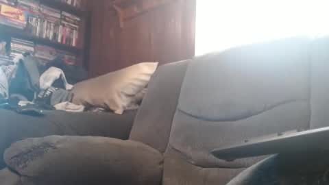 Snapshot of porkingit400 chatting on February 2025 05:14:01 PM porkingit400 online show from February 2025 05:14:01 PM