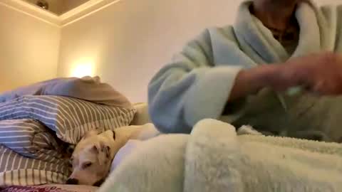 Snapshot of pretty_boy_jack chatting on February 2025 02:47:01 AM pretty_boy_jack online show from February 2025 02:47:01 AM