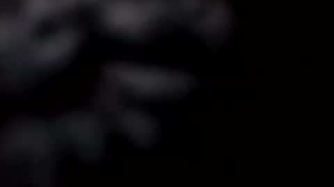 Snapshot of pretty_boy_jack chatting on February 2025 10:52:01 AM pretty_boy_jack online show from February 2025 10:52:01 AM