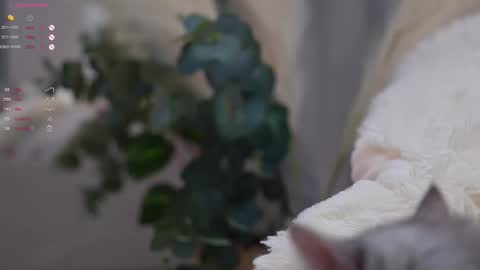 Elina online show from March 2025 07:03:02 PM