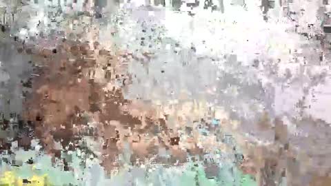 Snapshot of prettybabe02 chatting on September 2025 10:48:02 AM SaraCattra online show from September 2025 10:48:02 AM