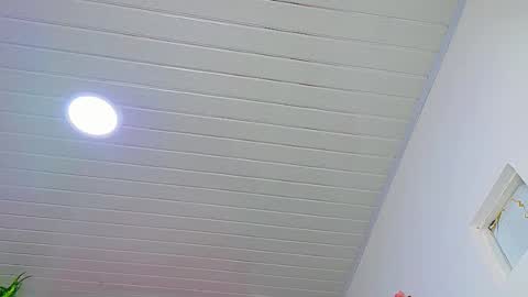 Enzo  Denis online show from February 2026 11:56:02 PM