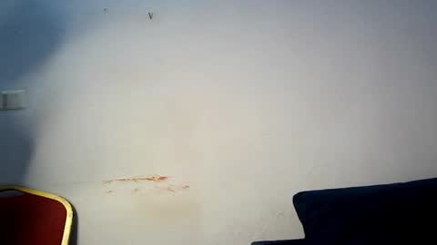 evelyn online show from March 2026 06:04:02 AM